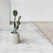 Dome Vase XS